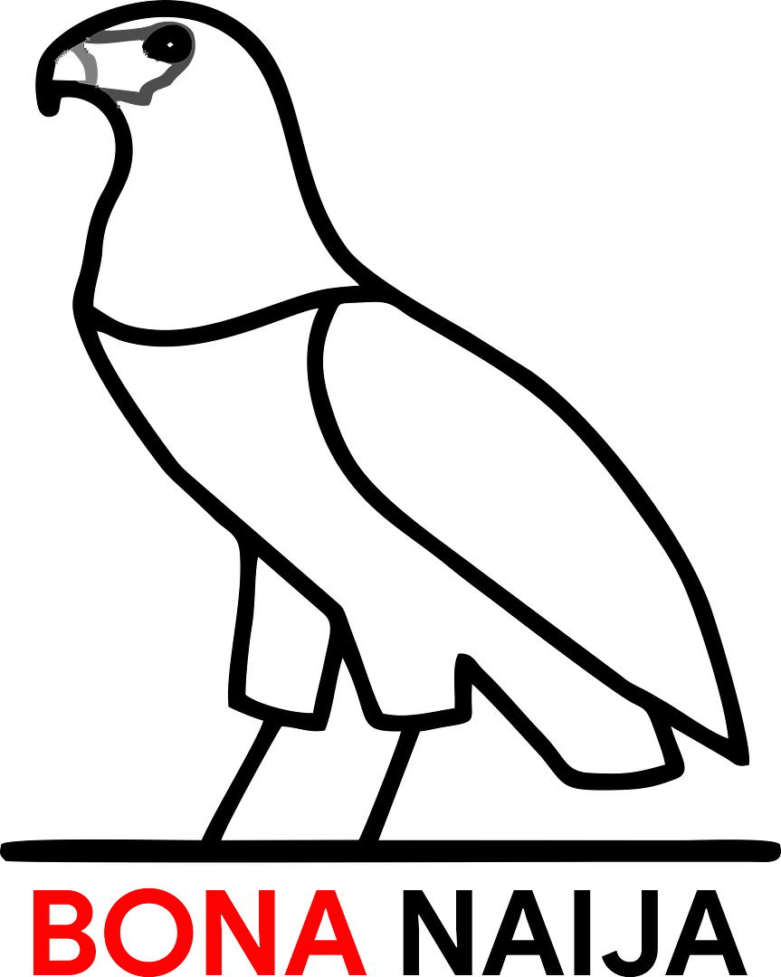 Bona Naija Logo